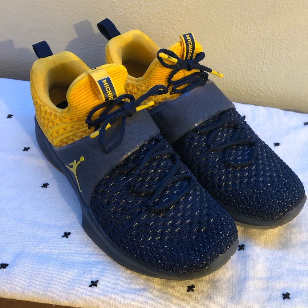 Jordan trainer 2 flyknit Michigan shoes